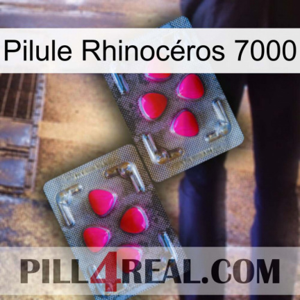 Pilule Rhinocéros 7000 15